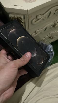 iPhone 12 Pro Max