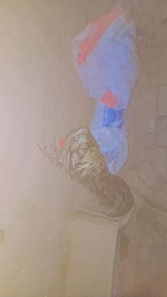 golden misri male health and active03030984758