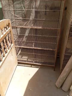 birds cages