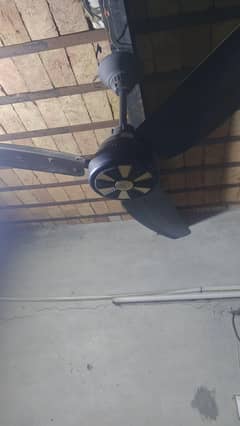 ac DC fan