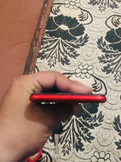 No scratch on back and front