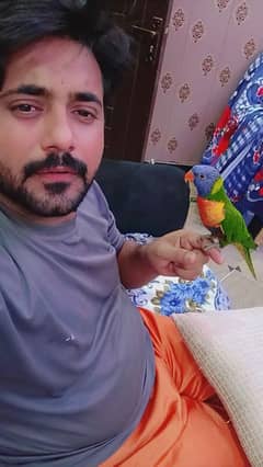 لوری فل ہیمڈ ٹیم خوبصورت