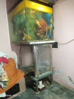 arjant