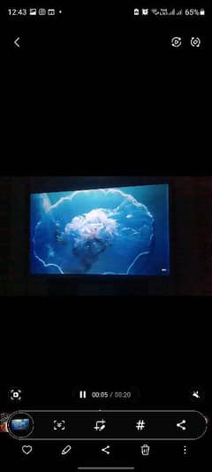 Projector