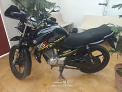 yamaha