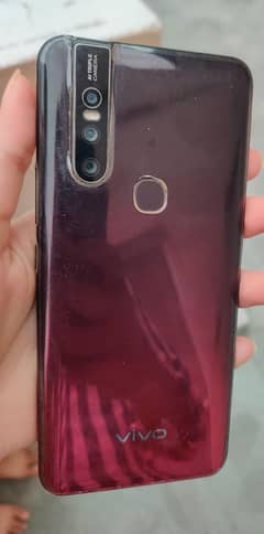 vivo