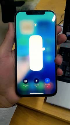 12 pro max factory unlocked
