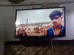 Tcl android led