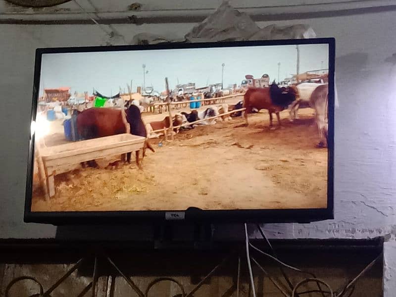 Tcl android led 1