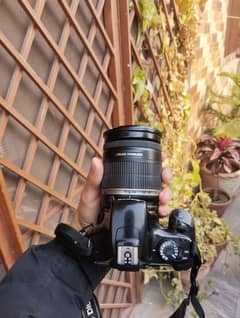 DSLR Camera at 70 % OFF with Free Camera Bag
