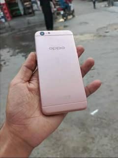 oppo