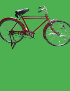 Standard Double Frame Bicycle