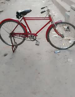 Standard Double Frame Bicycle