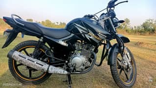 Yamaha YBR 125G 2019
