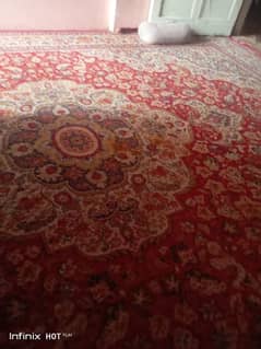 carpet