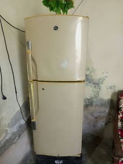 fridge