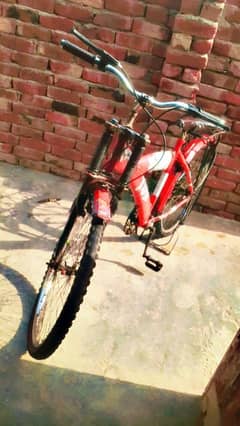 Cycle
