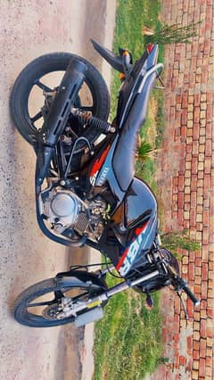 yamaha ybr