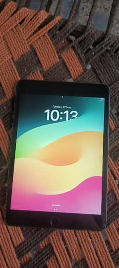 Ipad Mini 5
