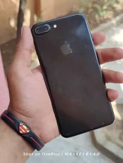 iP