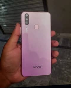 Vivo