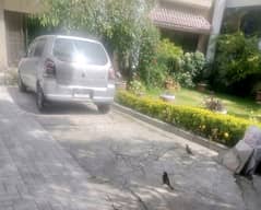 Looking For A Lower Portion In F-6/1 Islamabad