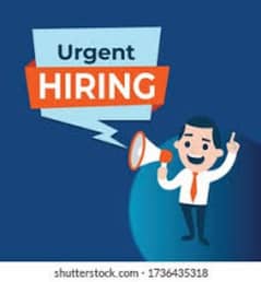 urgent 15 staff neend on office