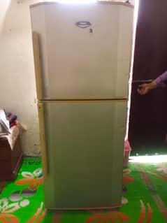 Haier
