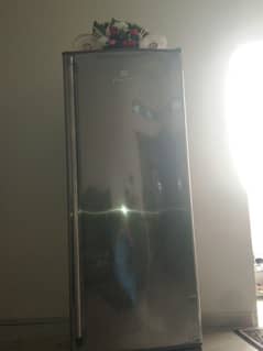 Freezer For Immediate Sale