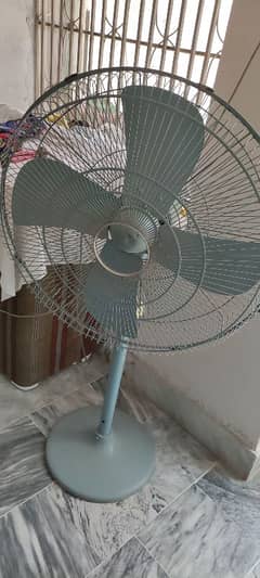 younos fan