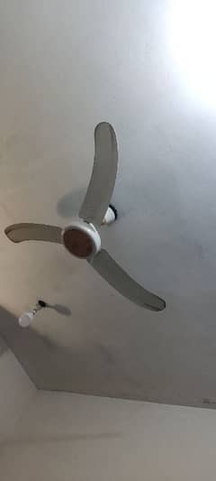 ceiling fan