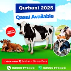 Cow / Bulls / Goat / Qurbani 2025 Qasai Avalaible