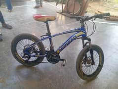 Bicycle