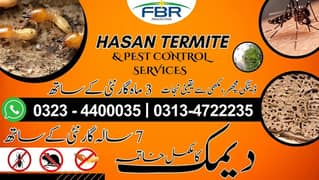 Dengue Spray | Pest Control Services | Termite Control |Deemak Control