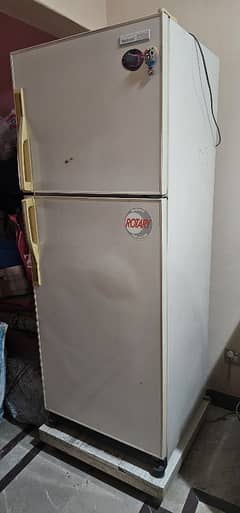 Fridge