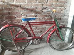 Cycle For sale Almost New 1 month used hoi howi Ha