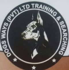 with training boarding simple boarding