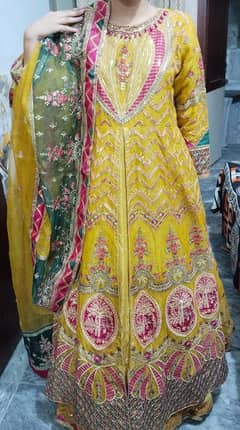 fancy dress / party wear dress / full embroided