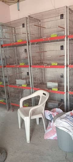 Cages