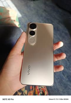 Vivo