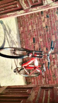 Cycle