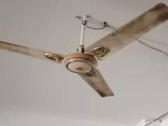 ceiling