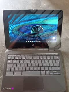 HP