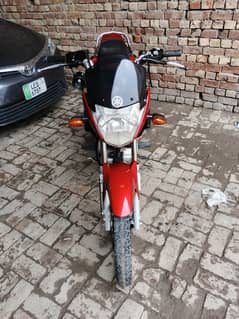 Yamaha ybr 125 2021