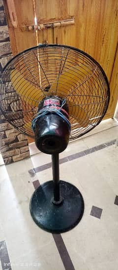 Fan