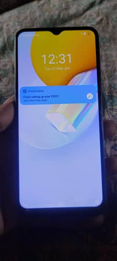 VIVO