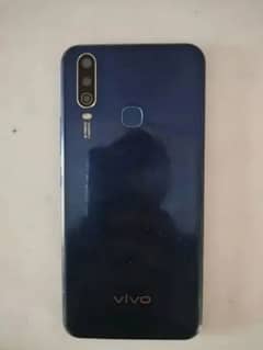Vivo
