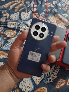 OnePlus 13 (16/512)