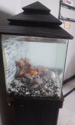 Fish Aquarium