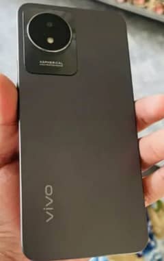 Vivo